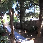 Olea * Baška