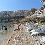 Olea *