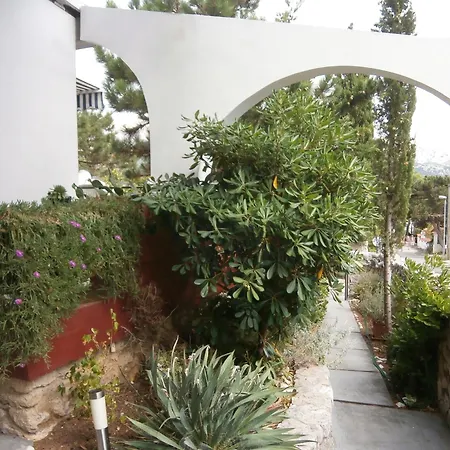 Appartement Olea *