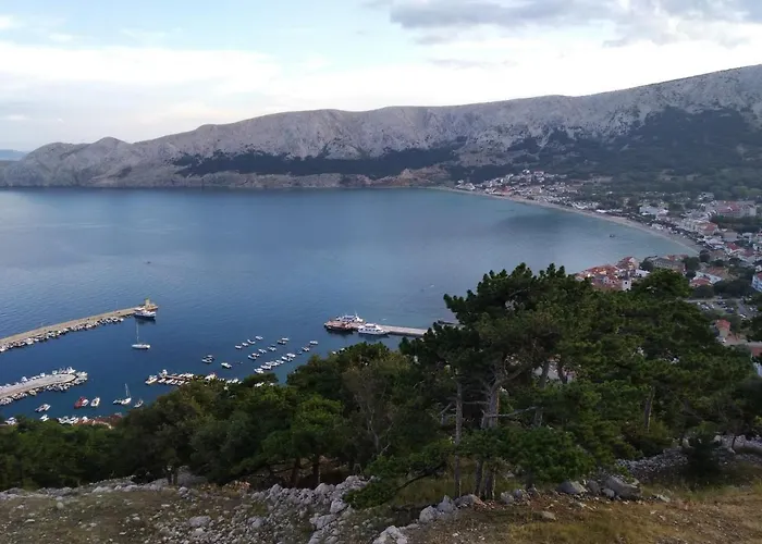 Olea