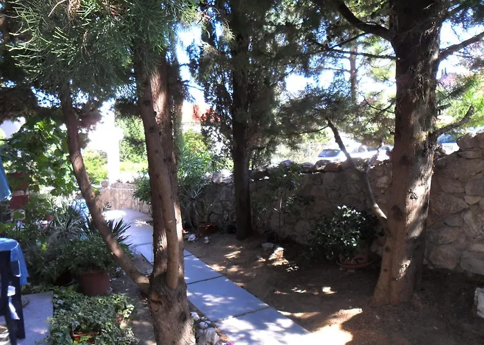 Olea * Baška