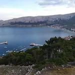 Olea