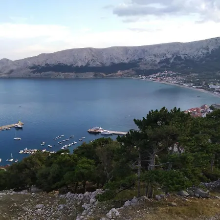 Olea