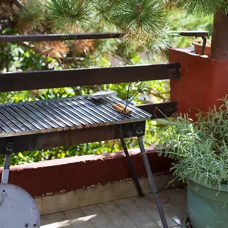 Olea Apartament